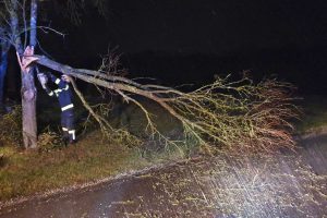 Baum über Straße Kleinstroheim